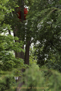 Fotowalk Blickachsen Kurpark Bad Homburg - Fotograf Werner Ch. Buchwald