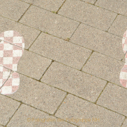 Fotowalk Bonames - Fotograf Albert Wenz