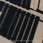 Fotowalk Bonames - Fotograf Clemens Schnitzler