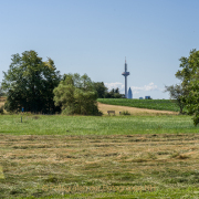 Fotowalk Bonames - Fotograf Clemens Schnitzler