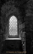 Burg Greifenstein - Fotograf Ahmed Touil