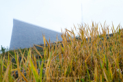 Feldberg - Fotograf Olaf Kratge