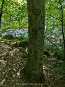 Licht und Schatten im Felsenmeer - Fotografin Christa Zimmermann