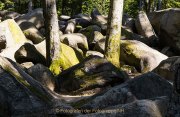 Licht und Schatten im Felsenmeer - Fotografin Jutta R. Buchwald