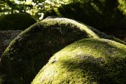 Licht und Schatten im Felsenmeer - Fotografin Jutta R. Buchwald