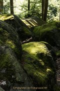Licht und Schatten im Felsenmeer - Fotografin Jutta R. Buchwald