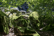 Licht und Schatten im Felsenmeer - Fotograf Werner Ch. Buchwald