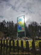 Glashütten - WaldGlasWeg - Fotografin Christa Zimmermann