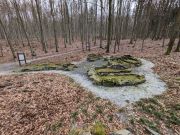 Glashütten - WaldGlasWeg - Fotografin Christa Zimmermann