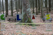 Glashütten - WaldGlasWeg - Fotograf Werner Ch. Buchwald