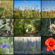 Fotowalk Hausen vdH - Fotograf Joachim Clemens