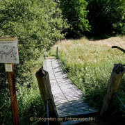Fotowalk Hausen vdH - Fotografin Anne Jeuk
