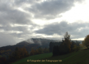 Fotowalk Herbstlicht im Oberjosbacher Wald - Fotograf Helmut Joa