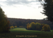 Fotowalk Herbstlicht im Oberjosbacher Wald - Fotograf Helmut Joa