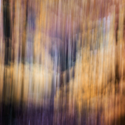 Fotowalk Herbstlicht im Oberjosbacher Wald - Fotograf Joachim Clemens