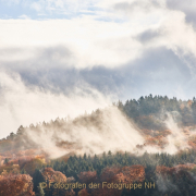 Fotowalk Herbstlicht im Oberjosbacher Wald - Fotograf Thomas Stähler