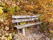 Fotowalk Herbstlicht im Oberjosbacher Wald - Fotograf Henry Mann
