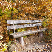 Fotowalk Herbstlicht im Oberjosbacher Wald - Fotograf Henry Mann