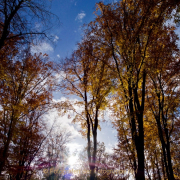 Fotowalk Herbstlicht im Oberjosbacher Wald - Fotograf Henry Mann