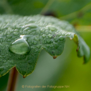 Fotowalk Hochheim - Fotografin Anne Jeuk