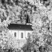 Fotowalk Hochheim - Fotograf Stefan Zimmermann