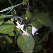 Experimentell - Fotografin Christa Zimmermann