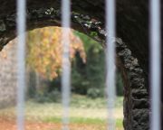 Experimentell - Fotografin Christa Zimmermann