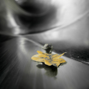 Experimentell - Fotografin Anne Jeuk