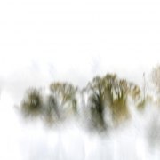 Experimentell - Fotografin Jutta R. Buchwald