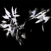 Experimentell - Fotografin Jutta R. Buchwald