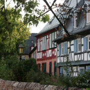 Fotowalk Altstadt F-Höchst - Fotograf Helmut Joa