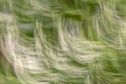 Fotowalk Horlach Graben - Fotograf Joachim Clemens