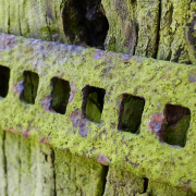 Fotowalk Horlach Graben - Fotograf Stefan Zimmermann