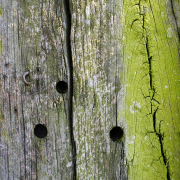 Fotowalk Horlach Graben - Fotograf Stefan Zimmermann