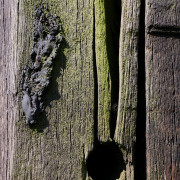 Fotowalk Horlach Graben - Fotograf Stefan Zimmermann