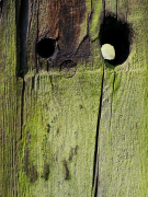 Fotowalk Horlach Graben - Fotograf Stefan Zimmermann
