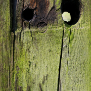 Fotowalk Horlach Graben - Fotograf Stefan Zimmermann
