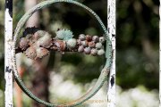 Kleinigkeiten zwischen Oestricher Kran und Romanischer Basilika - Fotografin Jutta R. Buchwald