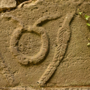 Fotowalk Mainz Kästrich - Fotograf Christoph Fuhrmann