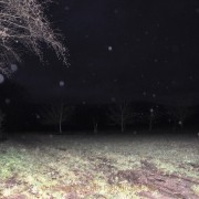 Fotowalk Mystischer Wald - Fotograf Albert Wenz