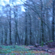 Fotowalk Mystischer Wald - Fotograf Albert Wenz
