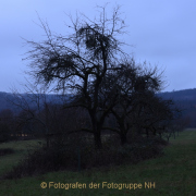 Fotowalk Mystischer Wald - Fotograf Christoph Fuhrmann