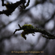 Fotowalk Mystischer Wald - Fotograf Christoph Fuhrmann
