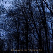 Fotowalk Mystischer Wald - Fotografin Jutta R. Buchwald