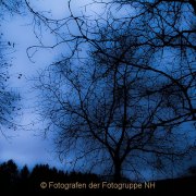 Fotowalk Mystischer Wald - Fotografin Jutta R. Buchwald