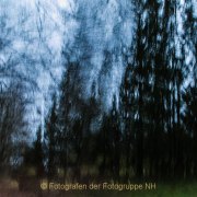Fotowalk Mystischer Wald - Fotografin Jutta R. Buchwald