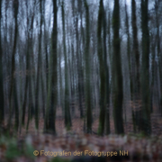 Fotowalk Mystischer Wald - Fotograf Werner Ch. Buchwald