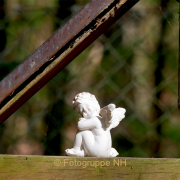 Fotowalk Wiesbaden Neroberg - Fotografin Anne Jeuk