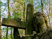 Fotowalk Wiesbaden Neroberg - Fotografin Anne Jeuk