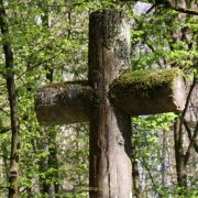 Fotowalk Wiesbaden Neroberg - Fotograf Helmut Joa